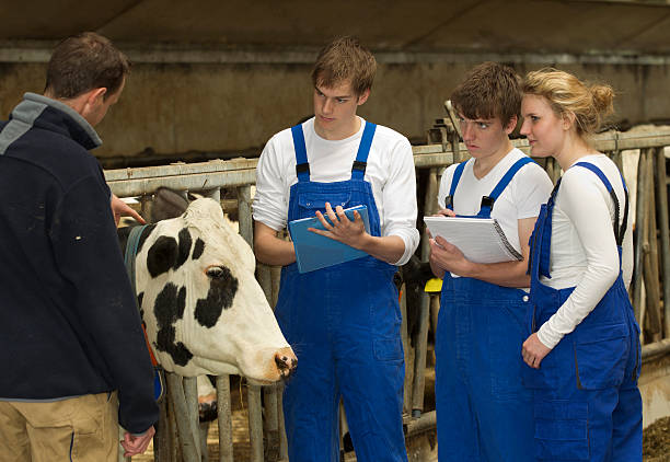 aprender agricultura ganaderia regenerativa