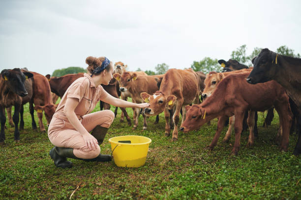ganaderia ecologica beneficios