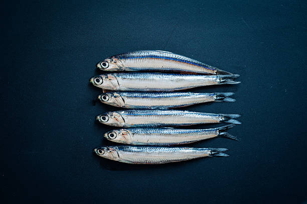 pescado azul salud cardiovascular omega 3