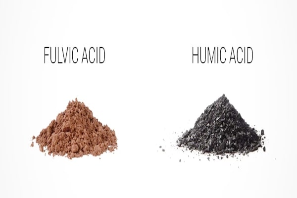 acido fulvico y humido