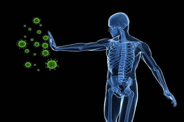 sitema immunologico