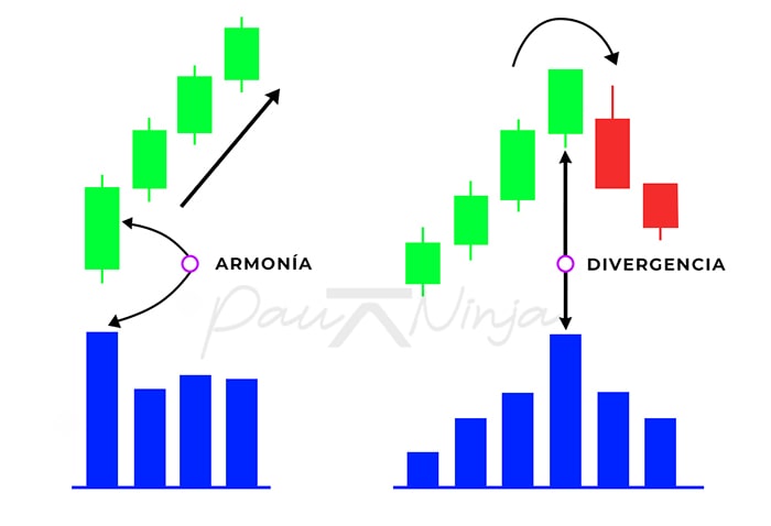 armonía en tendencia
