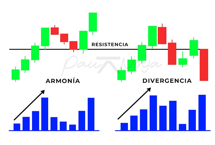 ley esfuerzo resultado en precio y volumen
