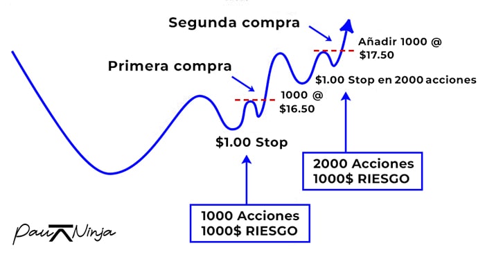 pirámide minervini