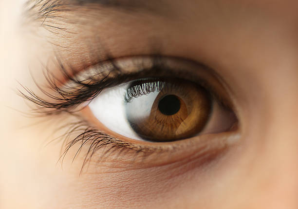 ojos niño gafas