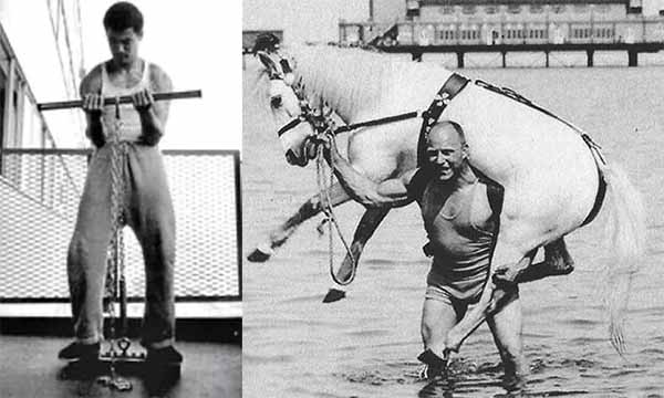 bruce lee y alexander zass isométricos activos