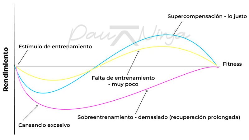 supercompensación estímulo fatiga