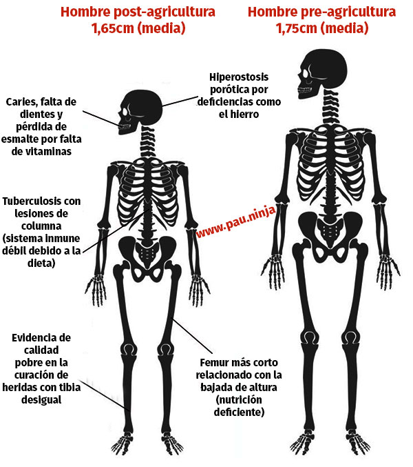 hombre agricultura